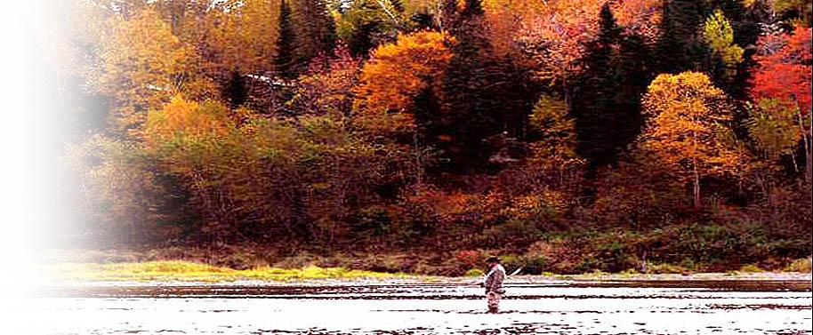 COME ON IN TO OUR WEB SITE IF YOU ARE LOOKING FOR THE BEST ATLANTIC SALMON FLY FISHING AVAILABLE ANYWHERE. ASK OUR REFERENCES, OUR ACCOMMODATIONS AND HOSPITALITY IS UNEQUALLED. EXPERIENCE THAT FISHING ADVENTURE OF A LIFETIME. CHALLENGE THE FEISTY MIRAMICHI RIVER ATLANTIC SALMON. TEST YOUR ANGLING SKILLS AGAINST THE WILEY KING OF FISH. BRING YOUR SONS, DAUGHTERS, PARENTS, RELATIVES OR FRIENDS. ASK US ABOUT GROUP RATES AND GIFT CERTIFICATES. WE AIM TO PLEASE!